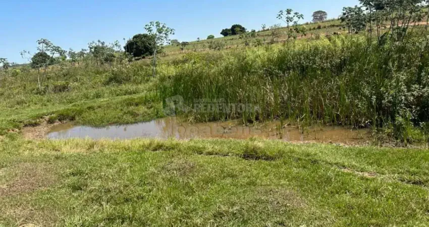 Fazenda à venda no Centro, Santa Fé do Sul 