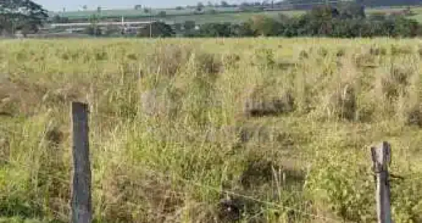 Terreno comercial à venda no Centro, Álvares Florence 