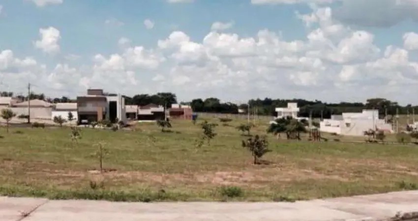 Terreno Padrão em Cedral