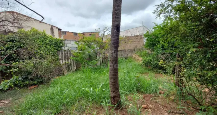 Terreno à venda na Vila São Jorge, São José do Rio Preto