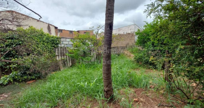 Terreno à venda na Vila São Jorge, São José do Rio Preto 
