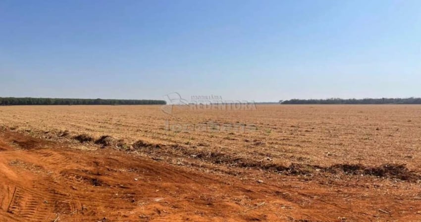 Excelente fazenda na Vila Barroso, com 206,66 Ha de área total!