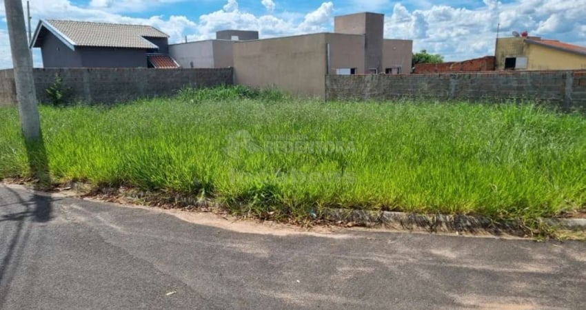 Terreno Residencial Venda Jardim Di Napoli Cedral-SP