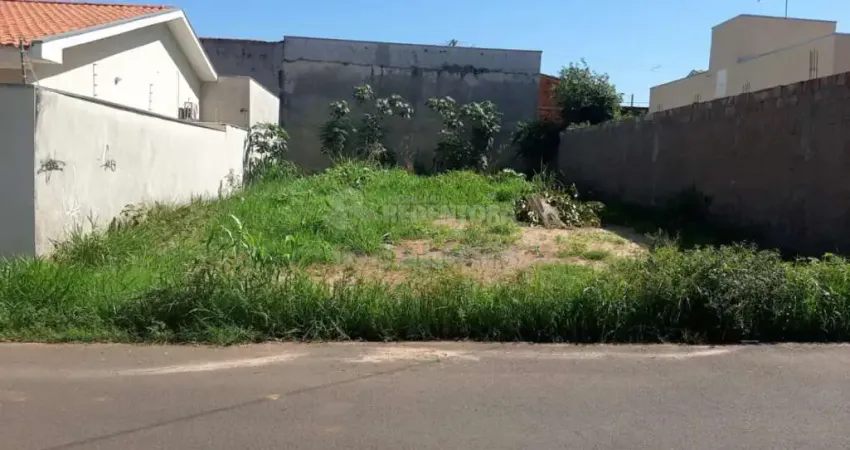 Terreno á venda no Jardim das Palmeiras em Bady Bassitt - SP