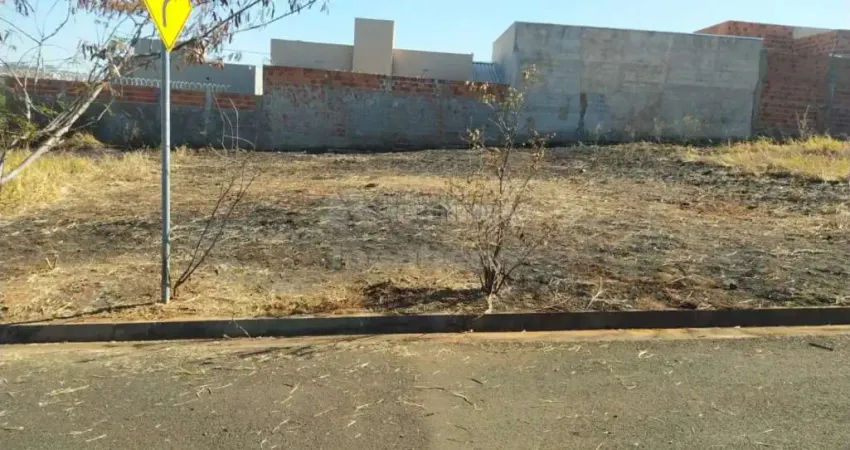Residencial Maria Clara, Terreno Comercial e Residencial de 200,00 m² em São José do Rio Preto