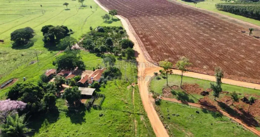 Fazenda à venda na Zona Rural, Monte Aprazível