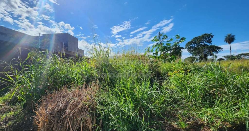 Terreno com 205,79m² - Bairro Parque Vila Nobre, São José do Rio Preto/SP