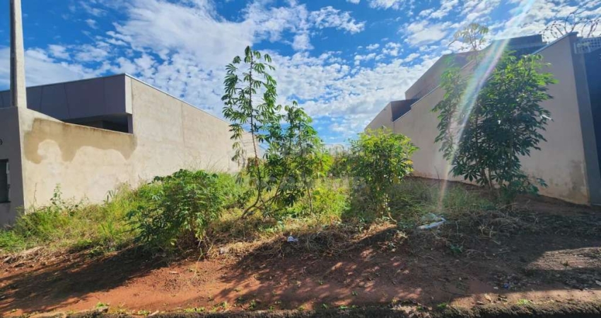 Terreno com 200,00 em ótima localização - Bairro Parque Vila Nobre
