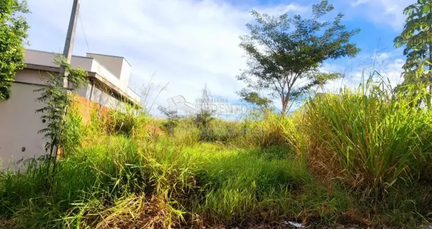 Terreno à venda no Lago Sul, Bady Bassitt