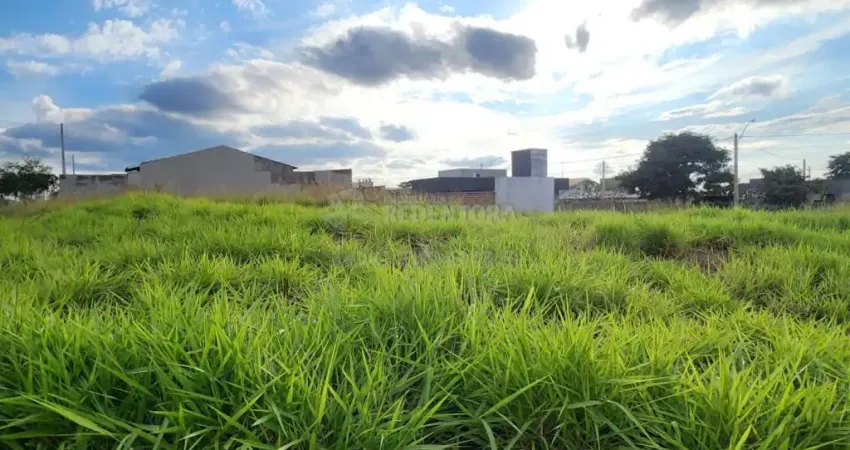 Terreno com 233,78 em ótima localização - Bairro Parque Vila Nobre