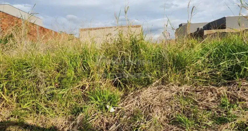 Terreno com 200,00m² - Bairro Parque Vila Nobre, São José do Rio Preto/SP