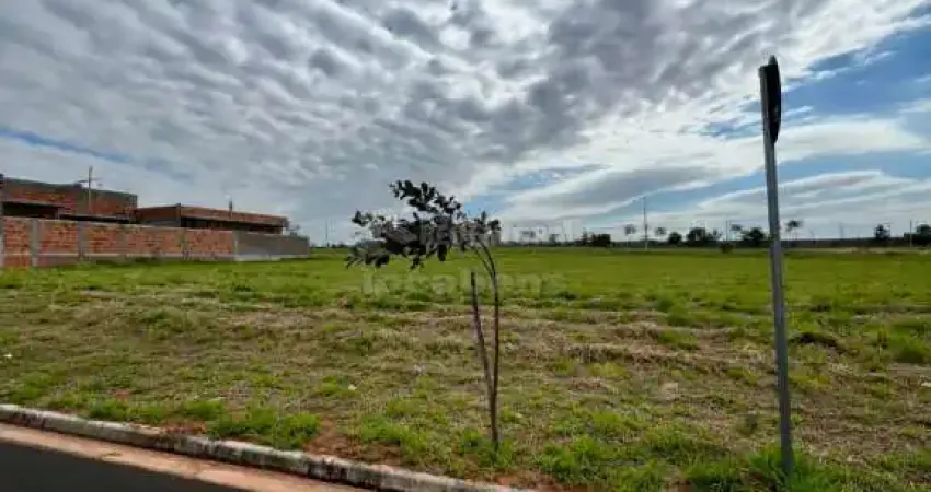 Terreno em condomínio fechado à venda no Jardim Vitagliano, São José do Rio Preto