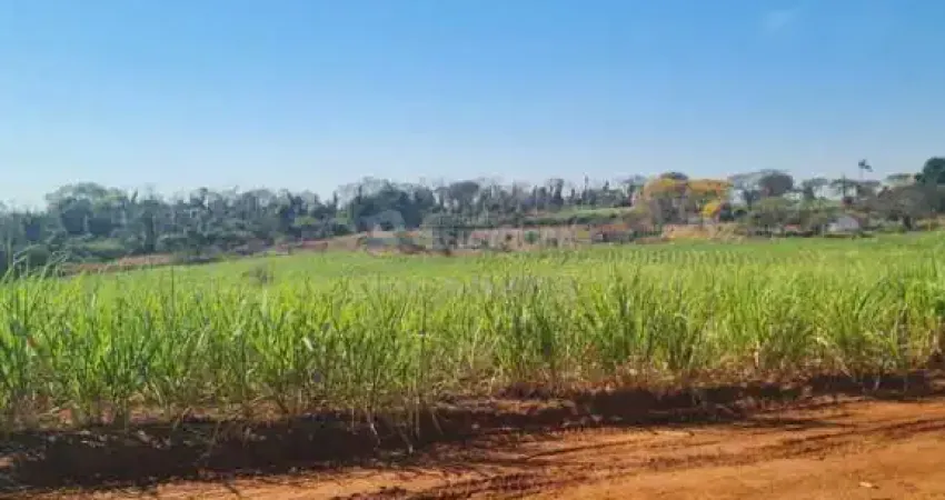 Fazenda em mirassolândia com 26 alqueires arrendada para cana