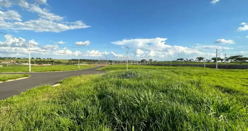 Terreno em condomínio fechado à venda no Jardim Vitagliano, São José do Rio Preto 