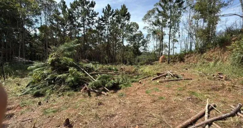 Terreno à venda no Palmeiras de São Paulo, Suzano 
