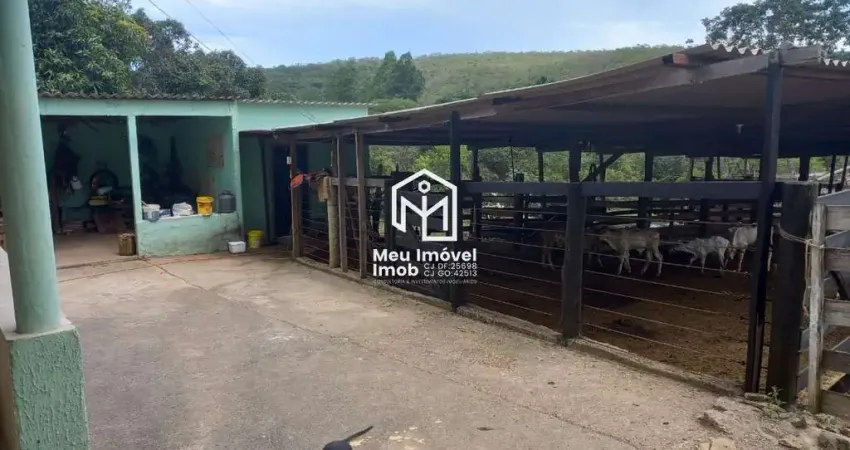 Fazenda Luziânia 5 Suítes 10 Alqueires Tanque de Peixe Curral Formada Gado