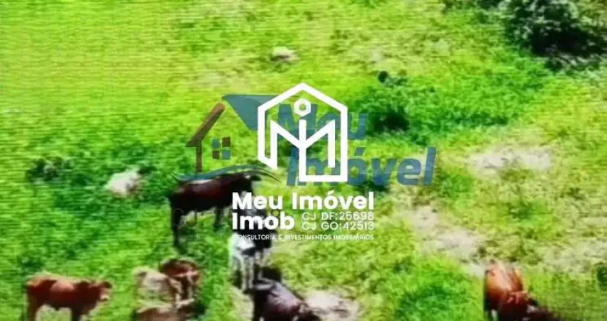 Chácara / sítio com 5 quartos à venda na Área Rural, S/n, Área Rural de Luziânia, Luziânia