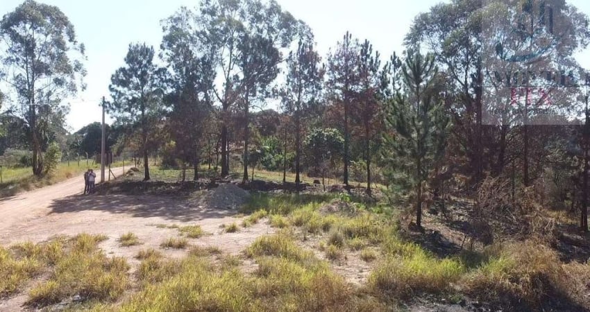 Terreno para Venda em Campo Limpo Paulista, FIGUEIRA BRANCA