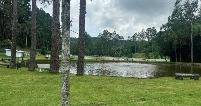 Chácara com 6 dormitórios à venda, 56000 m² por R$ 3.500.000,00 - Chácara Boa Vista - Santa Isabel/SP