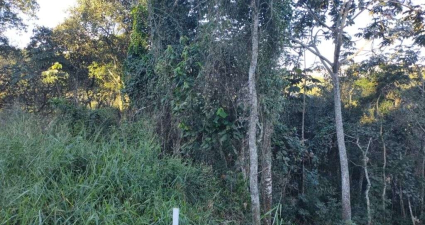 Terreno à venda, 450 m² por R$ 380.000,00 - Condomínio Arujá Country Club - Arujá/SP