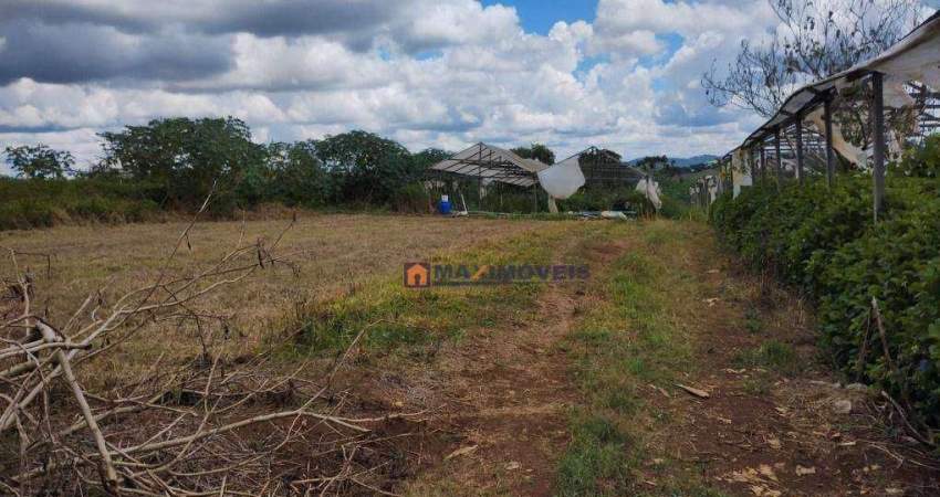 Terreno à venda, 40735 m² por R$ 1.500.000,00 - Batatuba - Piracaia/SP