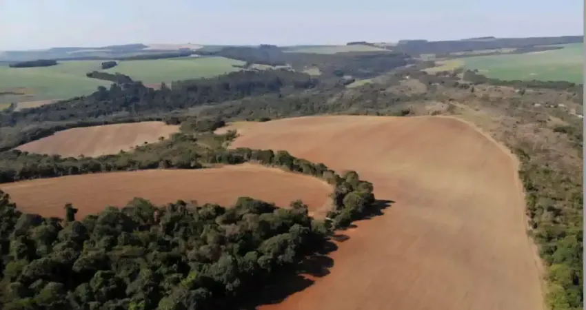 Fazenda com estrutura jaguariaiva, 331,54 hectáres , lavoura e pecuária
