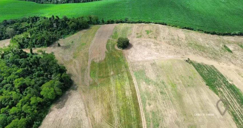 Área rural 17 alqueires próxima a rodovia  ponta grossa, paraná