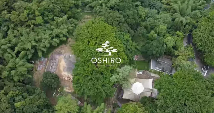 Terreno à venda na Avenida Prefeito Doutor Antônio Manoel de Carvalho, Morro Nova Cintra, Santos