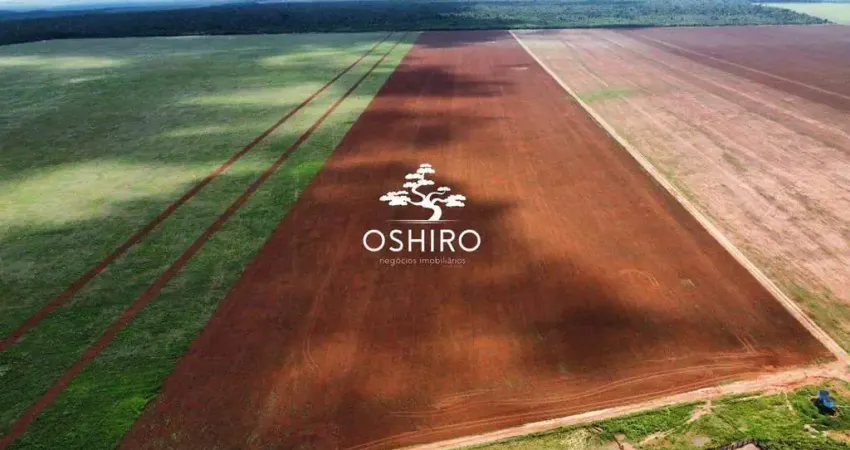 Chácara / sítio à venda na ROD. MT 130 -MARC, Zona Rural, Paranatinga