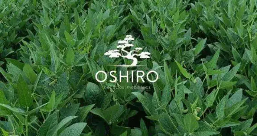 Chácara / sítio para alugar na ROD. MT 020 - MARC., Zona Rural, Paranatinga