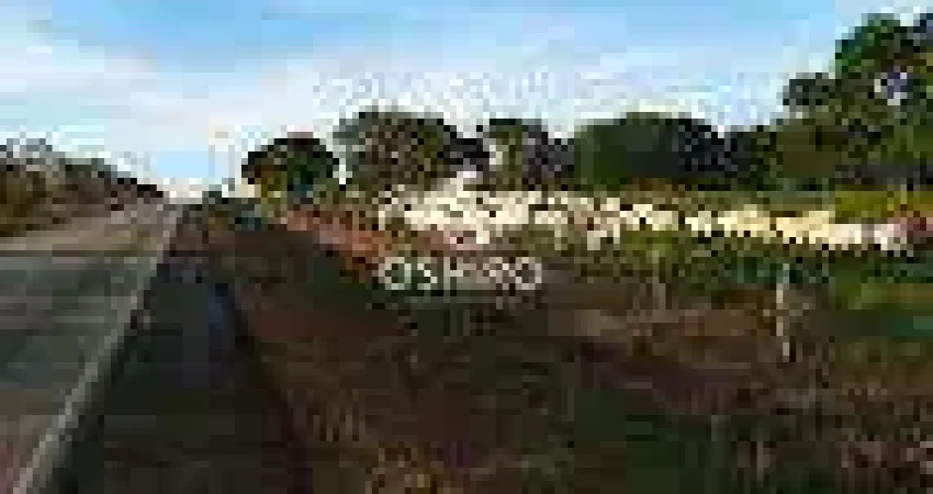 Chácara / sítio à venda na ROD. TO 373 - NIL., Zona Rural, Araguaçu