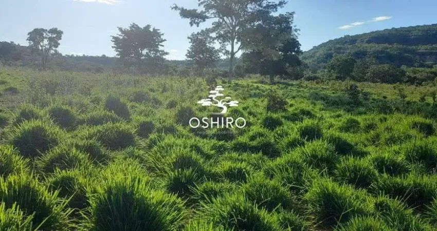 Chácara / sítio à venda na ROD. MT 100 - NIL, Zona Rural, Torixoréu