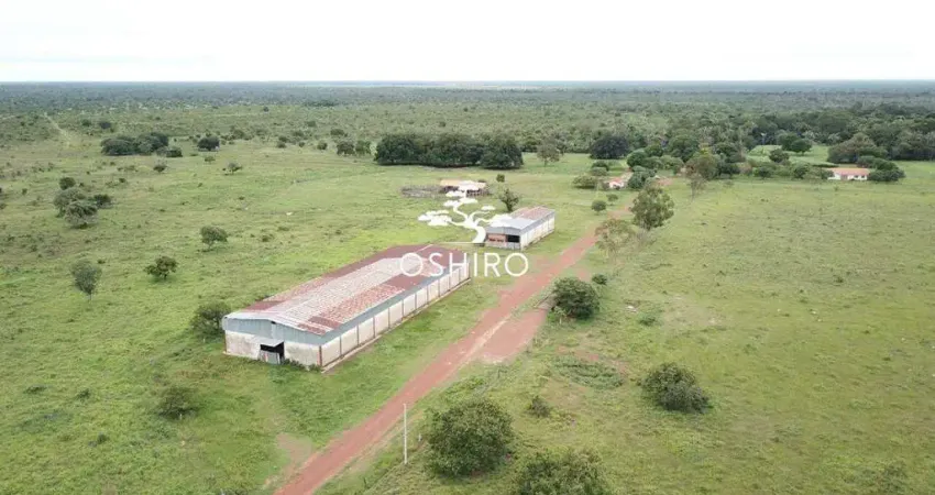 Chácara / sítio para alugar na ROD. MT 100 - MARC., Zona Rural, São Félix do Araguaia
