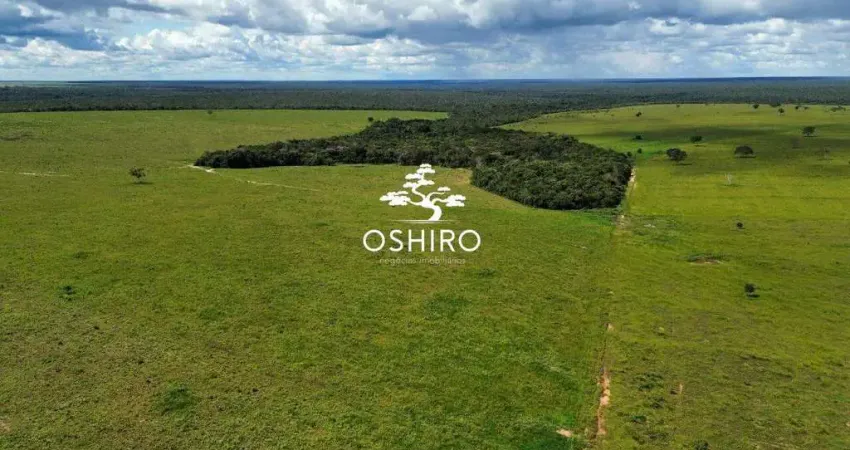 Faz. dupla aptidão em paranatinga - mt com pista de pouso - marc. cód. 13145