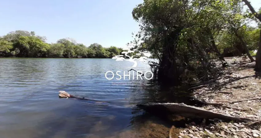 Chácara / sítio para alugar na BR 242 - MARC., Zona Rural, São Félix do Araguaia
