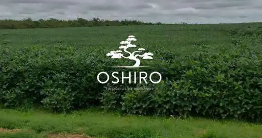 Chácara / sítio à venda na ROD. BR 158 - MARC., Zona Rural, Ribeirão Cascalheira