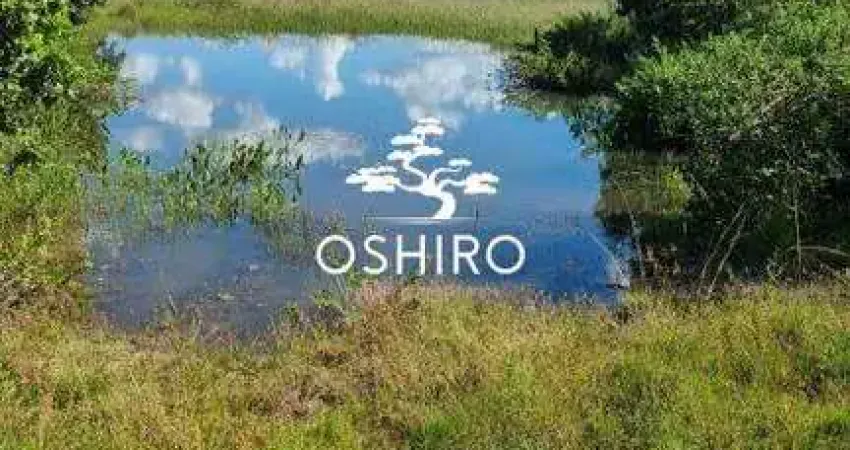 Chácara / sítio à venda na ROD. MT 100 - NIL, Zona Rural, Cocalinho