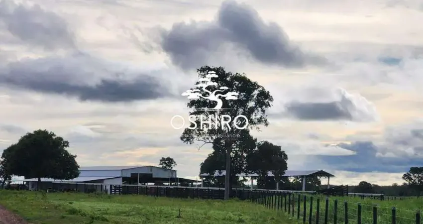 Chácara / sítio à venda na BR 153 - NIL., Zona Rural, Mara Rosa