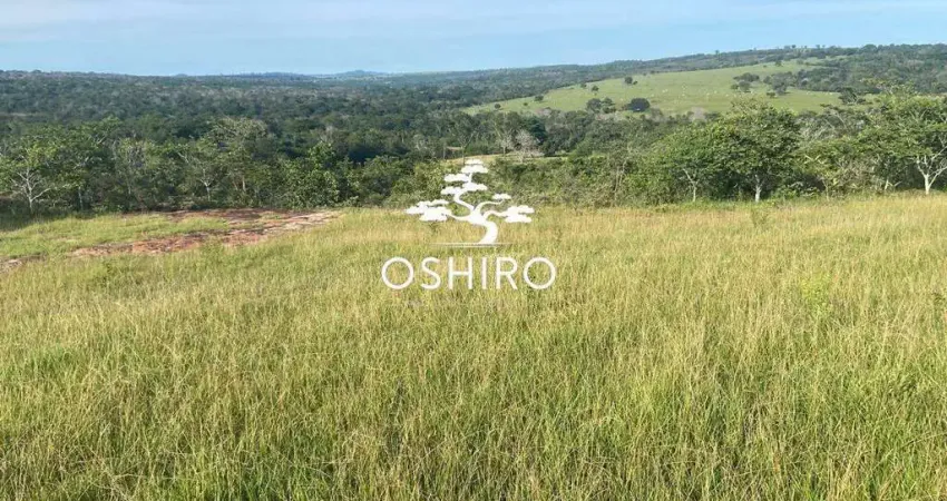 Chácara / sítio à venda na ROD. GO 221 - NIL., Zona Rural, Caiapônia