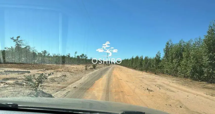 Chácara / sítio à venda na BR 479 - NIL., Zona Rural, Chapada Gaúcha