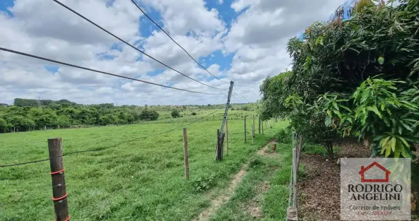 Chácara / sítio com 3 quartos à venda na Avenida Leopoldino Alves Cardoso, Jardim Fênix, Penápolis