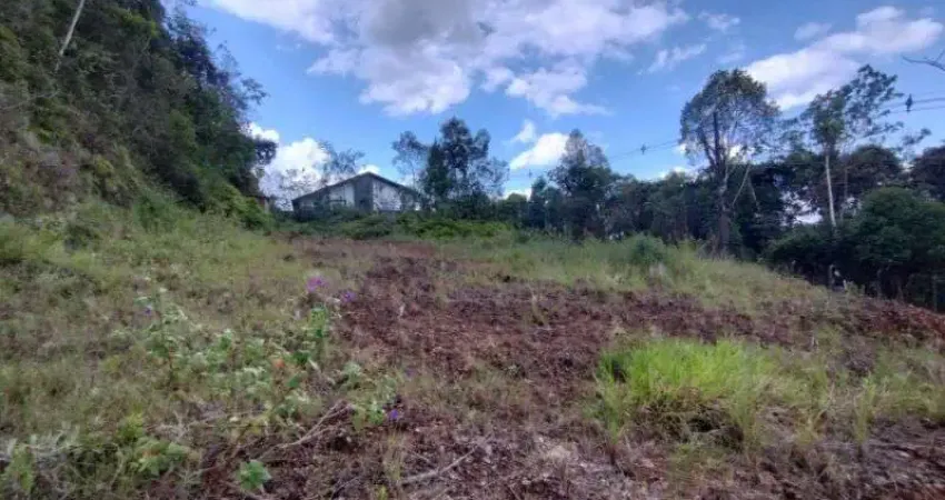 Terreno à venda no Rio Branco, Brusque