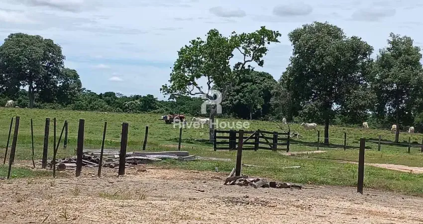 Fazenda à venda, na Região do Municipio de Santo Antonio do Leverger  MT