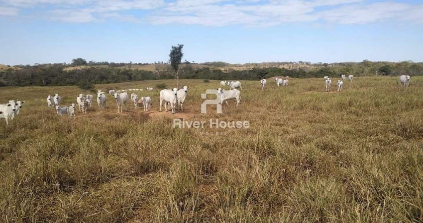 Fazenda   à venda  finalidade pecuaria formada, localizada em  Bom jardim,  Região Nobres , MT