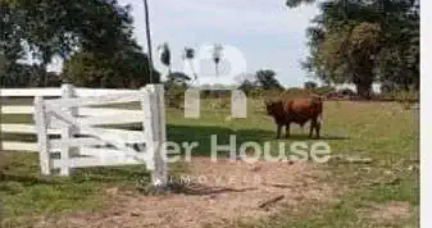 Fazenda  para pecuaria a venda, localizada em pirizal, nossa senhora do livramento , mt