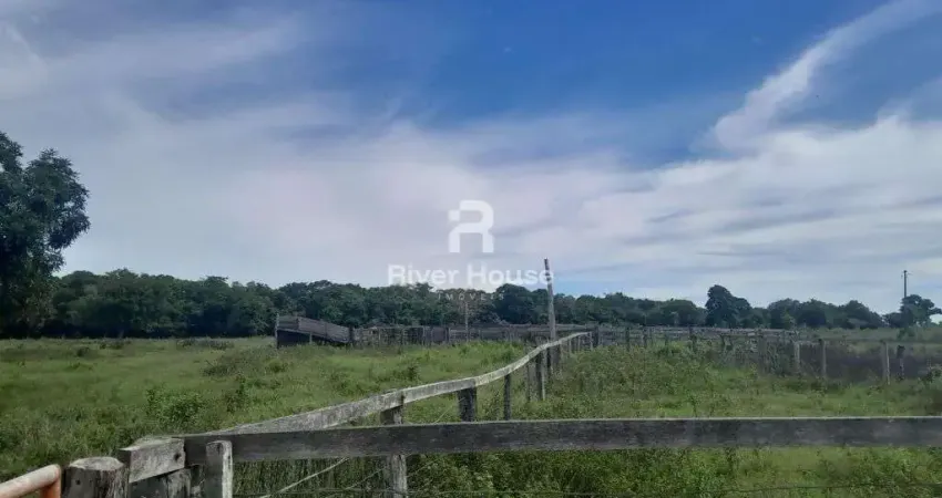 Fazenda a venda na regiao de santo antonio do leverger mt formada para pecuaria