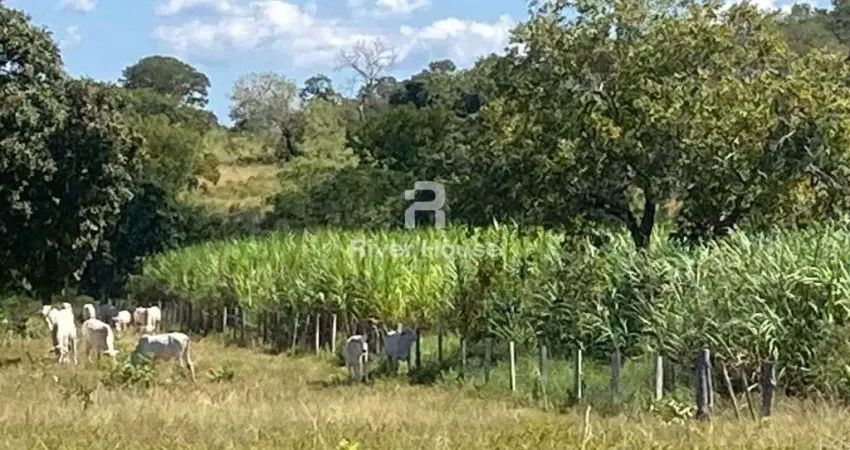 Fazenda com 2 salas à venda na Rodovia 070, Zona Rural, Poconé