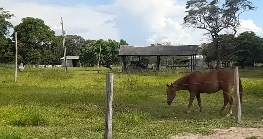 Fazenda com 1 sala à venda na Rua Coronel Botelho, 10, Centro, Nossa Senhora do Livramento