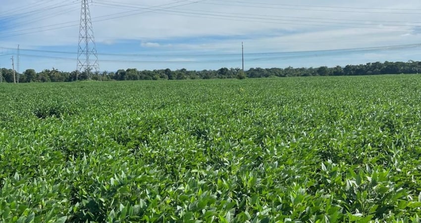 Fazenda com 1 sala à venda na Rua 1, 10, Alvorada, Cuiabá