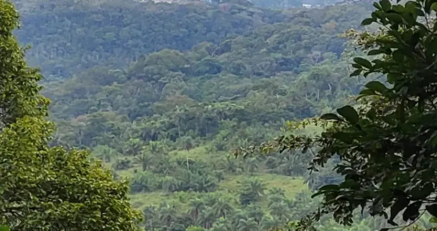 Terreno fantástico  loteamento de chácaras  chapada dos guimaraes mt
